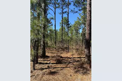 Tbd Fairview Road, Batesburg-Leesville, SC 29006 - Photo 3