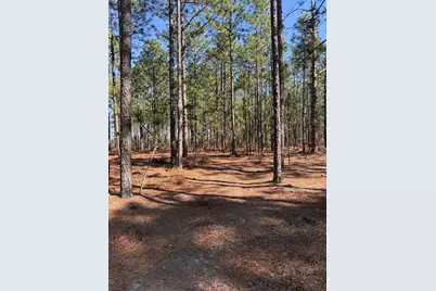 Tbd Fairview Road, Batesburg-Leesville, SC 29006 - Photo 5