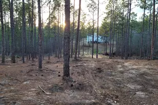 769 Chime Bell Church Rd, Aiken, SC 29803 - Photo 21