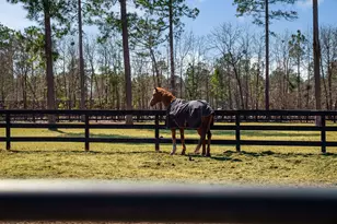160 Dasher Cir, Aiken, SC 29803 - Photo 45
