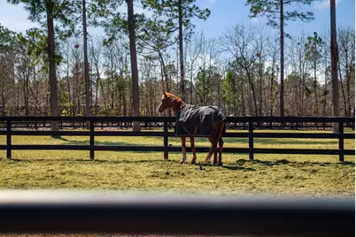 160 Dasher Circle, Aiken, SC 29803 - Photo 43