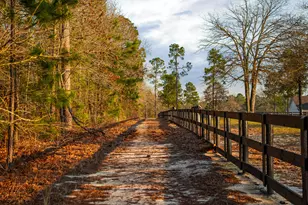 160 Dasher Cir, Aiken, SC 29803 - Photo 87