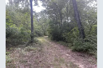 Tbd Johnston Highway, Trenton, SC 29847 - Photo 7