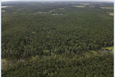 Tbd Johnston Highway, Trenton, SC 29847 - Photo 3