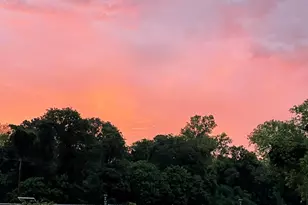 708 Gum Swamp Rd, Jackson, SC 29831 - Photo 63