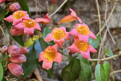 566 Newberry Street SW, Aiken, SC 29801 - Photo 15