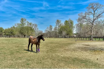 1063 Colbert Bridge Road, Aiken, SC 29803 - Photo 43