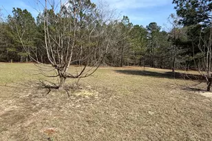 20 Hammond Dr, Trenton, SC 29847 - Photo 5