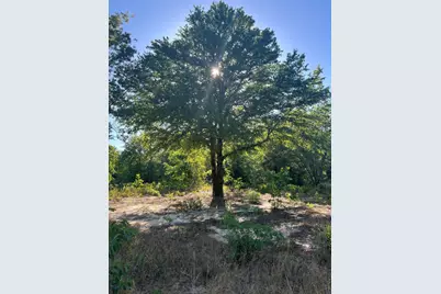 00 Pearl Bonnet Road, Windsor, SC 29856 - Photo 1