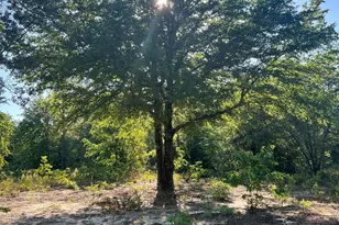 00 Pearl Bonnet Rd, Windsor, SC 29856 - Photo 1