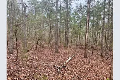 0 St. Barnabas Church Rd, Jenkinsville, SC 29065 - Photo 7