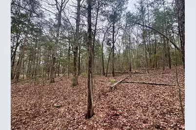 0 St. Barnabas Church Rd, Jenkinsville, SC 29065 - Photo 3