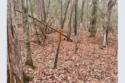 0 St. Barnabas Church Rd, Jenkinsville, SC 29065 - Photo 9