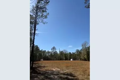 Tbd Yale Street, Salley, SC 29137 - Photo 5