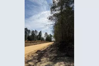 Tbd Yale Street, Salley, SC 29137 - Photo 3