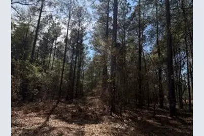 Tbd Yale Street, Salley, SC 29137 - Photo 7