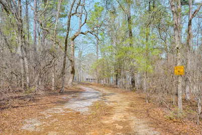 681, 693 Edisto Lake Road, Wagener, SC 29164 - Photo 39