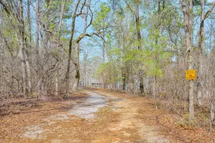 681 693 Edisto Lake Rd, Wagener, SC 29164 - Photo 39