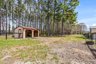 1030 Curb Chain Ln, Windsor, SC 29856 - Photo 13