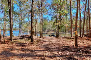 1076 Providence Ferry Rd, Lincolnton, GA 30817 - Photo 63