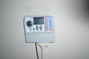 188 Royal Pine Dr, Warrenville, SC 29851 - Photo 31