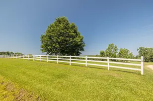 165 Lanier Rd, Johnston, SC 29832 - Photo 79