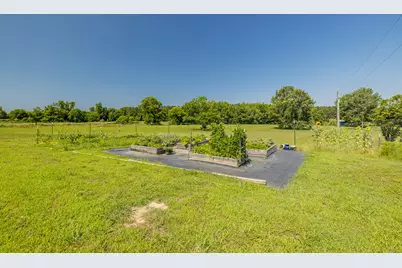 165 Lanier Road, Johnston, SC 29832 - Photo 75