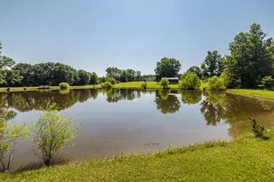 165 Lanier Rd, Johnston, SC 29832 - Photo 67