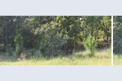 Tbd Callaway Drive, Graniteville, SC 29829 - Photo 1