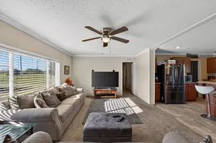 3 Greenfield Ct, Johnston, SC 29832 - Photo 7