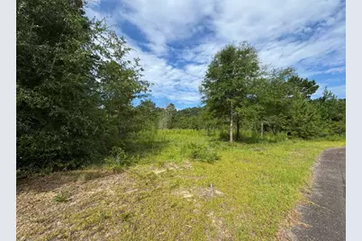 Lot 14 Ash Lane, Williston, SC 29853 - Photo 1