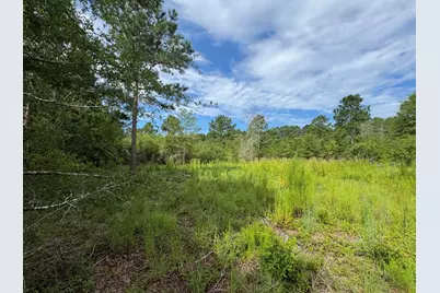 Lot 14 Ash Lane, Williston, SC 29853 - Photo 5