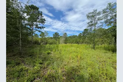 Lot 14 Ash Lane, Williston, SC 29853 - Photo 3