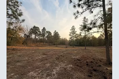 734 State Park Road, Windsor, SC 29856 - Photo 7