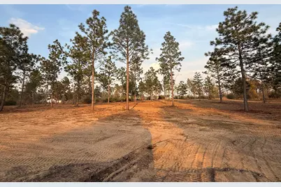 734 State Park Road, Windsor, SC 29856 - Photo 5