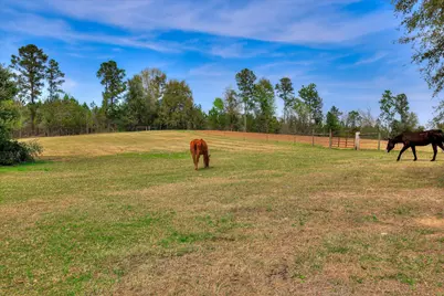 125 Peach Cider Road, Batesburg-Leesville, SC 29006 - Photo 17
