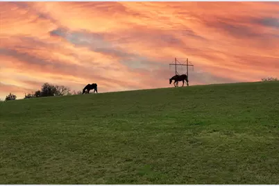 125 Peach Cider Road, Batesburg-Leesville, SC 29006 - Photo 23
