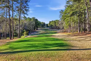 261 Magnolia Lake Rd, Aiken, SC 29803 - Photo 53