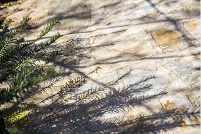 217 Abbeville Avenue NW, Aiken, SC 29801 - Photo 49