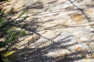 217 Abbeville Ave NW, Aiken, SC 29801 - Photo 49