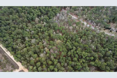 00 Edisto Lake Road, Wagener, SC 29164 - Photo 9