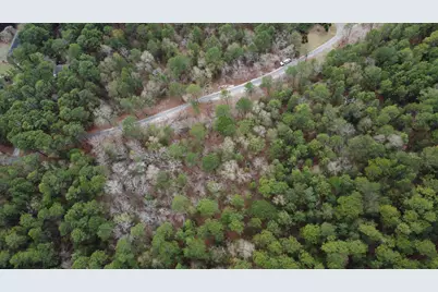 00 Edisto Lake Road, Wagener, SC 29164 - Photo 11