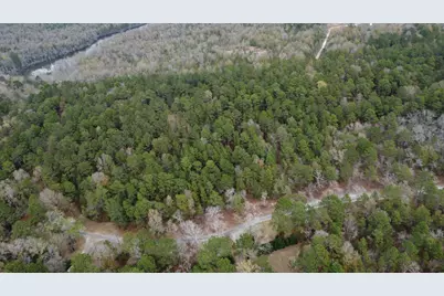 00 Edisto Lake Road, Wagener, SC 29164 - Photo 7