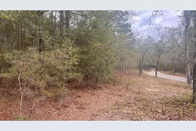 00 Edisto Lake Road, Wagener, SC 29164 - Photo 13