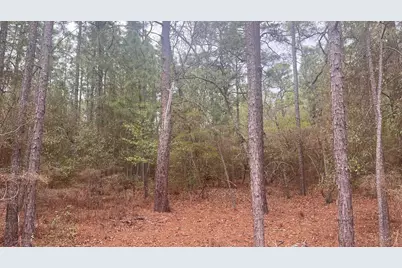 00 Edisto Lake Road, Wagener, SC 29164 - Photo 5