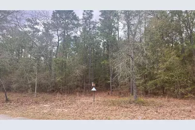 00 Edisto Lake Road, Wagener, SC 29164 - Photo 3