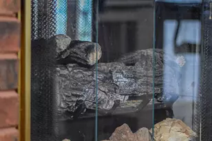 125 Nicholson Rd, Trenton, SC 29847 - Photo 17