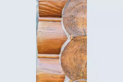 125 Nicholson Road, Trenton, SC 29847 - Photo 47