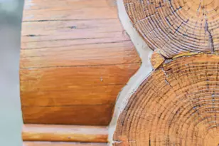 125 Nicholson Rd, Trenton, SC 29847 - Photo 47