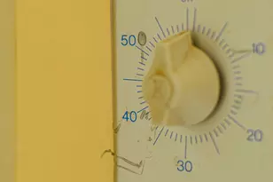 125 Nicholson Rd, Trenton, SC 29847 - Photo 39